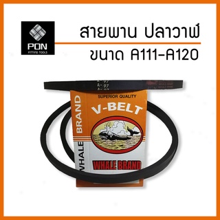 สายพาน A111 A112 A113 A114 A115 A116 A117 A118 A119 A120 สายพานร่องวี