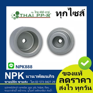 หัวเชื่อม พีพีอาร์ PPR (D20-D63) ไทยพีพีอาร์ (ท่อพีพีอาร์ Thai PP-R กดเลือกไซส์เอา)