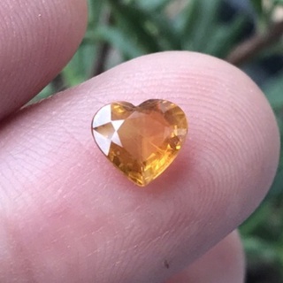 พลอยบุษราคัม บางกะจะ เผา BE Natural Yellow Sapphire,Thailand