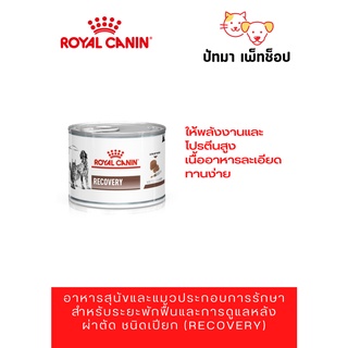 Royal Canin / Recovery กระป๋อง