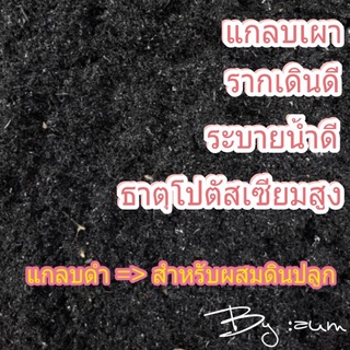 แกลบดำ / แกลบเผา พร้อมใช้ผสมดินปลูกงานเพาะชำ ช่วยระบายน้ำได้ดี โปตัสเซียมสูง