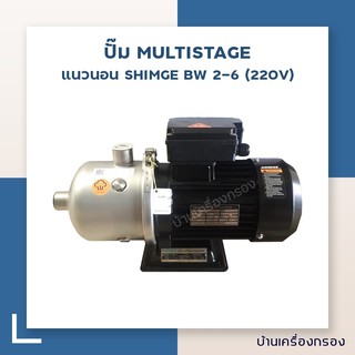 [บ้านเครื่องกรอง] ปั๊ม MULTISTAGE แนวนอน SHIMGE BW 2-6 (220V) (ปั๊มเครื่องกรอง/ปั๊มเคมี)