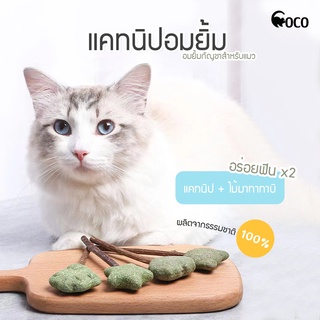 coco.pet อมยิ้มแคทนิป ลูกบอลแคทนิป เสียบไม้มาทาทาบิ สมุนไพรแมว กัญชาแมว ขนมแมวเลีย ของเล่นแมว แคทนิปเสียบไม้ แคทนิปแท่ง