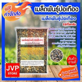 **ส่งฟรี** เมล็ดพันธุ์ปอเทือง 25กิโลกรัม ดอกปอเทือง ดอกเหลือง เมล็ดพันธุ์คุณภาพดี พืชบำรุงดิน ให้ปุ๋ยอินทรีย์