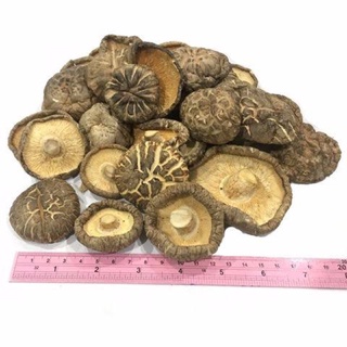เห็ดหอม เห็ดหอมดอกใหญ่
