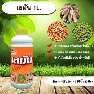 เลมัน 1L. ขยายหัวมัน มันหัวโต เพิ่มเปอร์เซ็นต์แป้ง  เพิ่มผลผลิต เพิ่มขนาดผลผลิตช่วยให้ผลมีเนื้อแน่น น้ำหนักดี ฮอร์โมนพืช