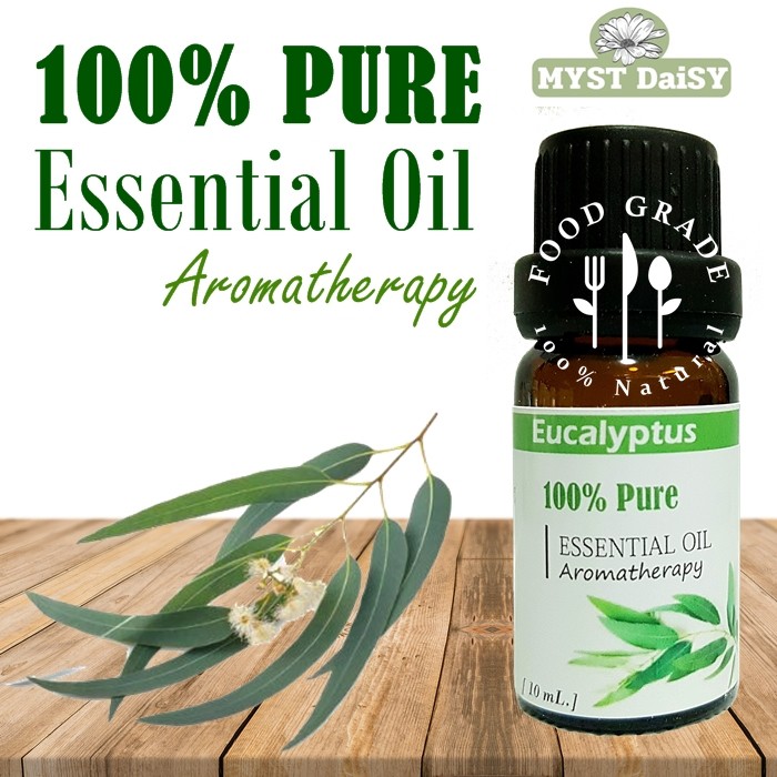[10 mL.] Food Grade 100% Pure Essential Oil น้ำมันหอมระเหยยูคาลิปตัส (Eucalyptus) 100%ไม่ผสม (ไม่ใช่กลิ่นสังเคราะห์)