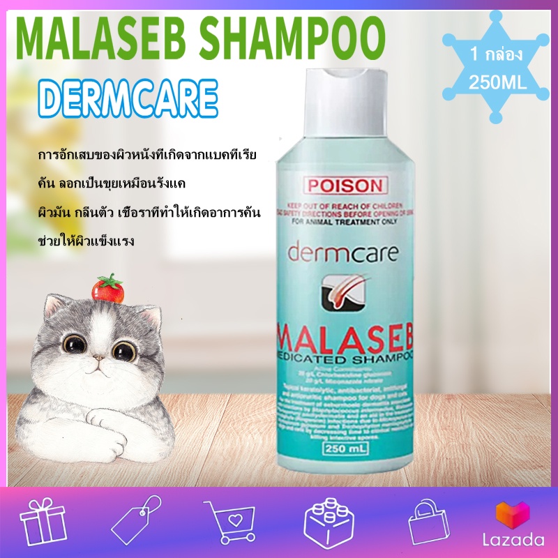 Malasebมาลาเซ็บ shampoo 250 ml Exp.112023 Dermcare แชมพู อาบ ฟอก