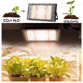 220V Full Spectrum LED Grow Light 50/100W/300W ไฟปลุกต้นไม้ ไฟช่วยต้นไม้ตัวเร็ว แสงขาว มีสวิตช์ปิดเปิด สายไฟยาว1.5M