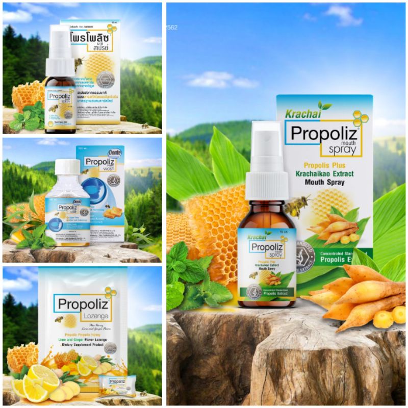 สินค้าพร้อมส่ง ผลิตภัณฑ์propoliz (บ้วนปาก สเปรย์ ลูกอม)