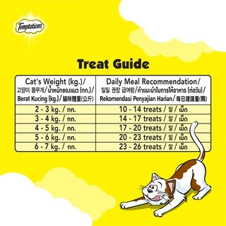 Temptations เทมเทชันส์ ขนมแมวกรุบกรอบ 75g
