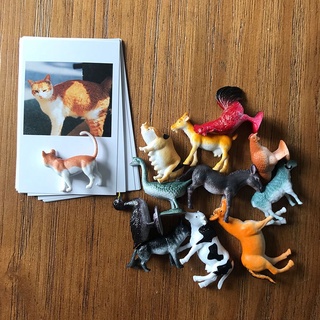 Montessori Card + mini models โมเดลจิ๋ว พร้อมการ์ดจับคู่(TOY519)