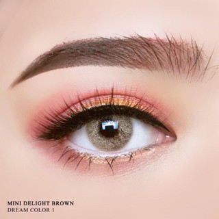 mini Delight Brown (2) Dream color1 ฝาม่วง สีน้ำตาล น้ำตาล ตาฝรั่ง Contact Lens Bigeyes คอนแทคเลนส์ สายตาสั้น ค่าสายตา