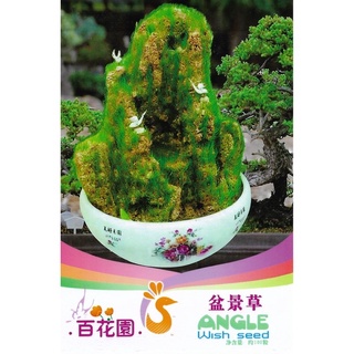 เมล็ด หญ้า สำหรับตกแต่ง บอนไซ 100 เมล็ด  Bonsai Grass (ไม่ใช่เมล็ดมอส) เมล็ดนำเข้า