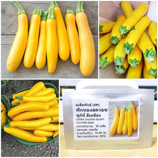 เมล็ดพันธุ์ ฟักทองสควอซ ซูกินี่สีเหลือง (Golden Zucchini Squash Seed) บรรจุ 20 เมล็ด คุณภาพดี ราคาถูก ของแท้ 100%