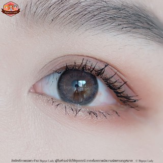 Kelly (Gray) ค่าสายตา 0.00-10.00 คอนแทคเลนส์
