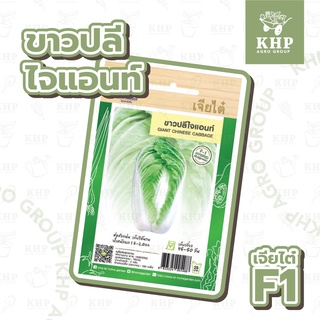 เมล็ดพันธุ์ ขาวปลี พันธุ์ ไจแอนท์ ตรา เจียไต๋ (เครื่องบิน) ผักกาดขาวปลี หัวใหญ่ 1.5-2.0 kg. บรรจุ 480 เมล็ด