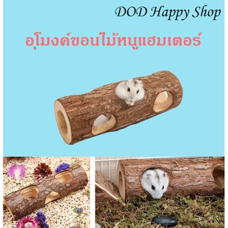 DOD อุโมงค์ขอนไม้หนูแฮมเตอร์ ของแต่งกรง ของเล่นไม้หนูแฮมเตอร์ อุโมงค์แฮมเตอร์ ส่งไว