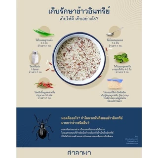ศาลานา ข้าวหอมมะลิ 105 อินทรีย์ ขนาดแพ็ก 5 kg (ออร์แกนิค)