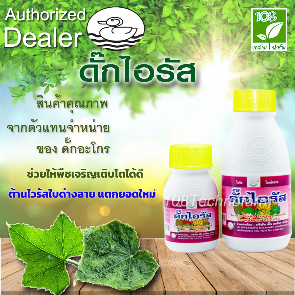 ฟื้นต้น ยอดตั้ง แตกยอดใหม่ ดั๊กไอรัส