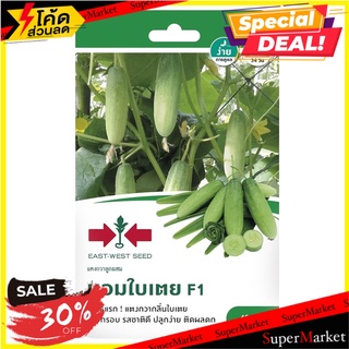 เมล็ดพันธุ์ แตงกวาลูกผสม หอมใบเตย F1 เมล็ดพันธุ์ HYBRID CUCUMBER SEED EAST-WEST SEED HOM BI TEOY F1 ต้นไม้และเมล็ดพันธุ์