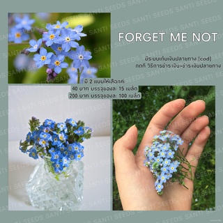 เมล็ดพันธุ์ ดอก ฟอร์เก็ตมีน็อต อย่าลืมฉัน 100 เมล็ด Forget me not เมล็ดพันธุ์แท้ นำเข้าจากต่างประเทศ ปลูกผัก สวนครัว ถูก