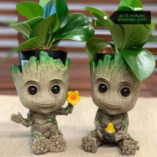 🎉พร้อมส่ง!🎉 กระถางกรูท baby groot pot flower สูง 15 cm