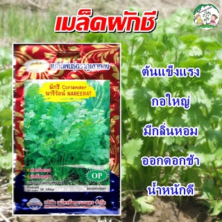 เมล็ดผักชี (นารีรัตน์) Coriander  เมล็ดพันธุ์ เมล็ดพันธุ์ผัก เมล็ดพันธุ์พืช ผักสวนครัว ตราภูเขาทอง