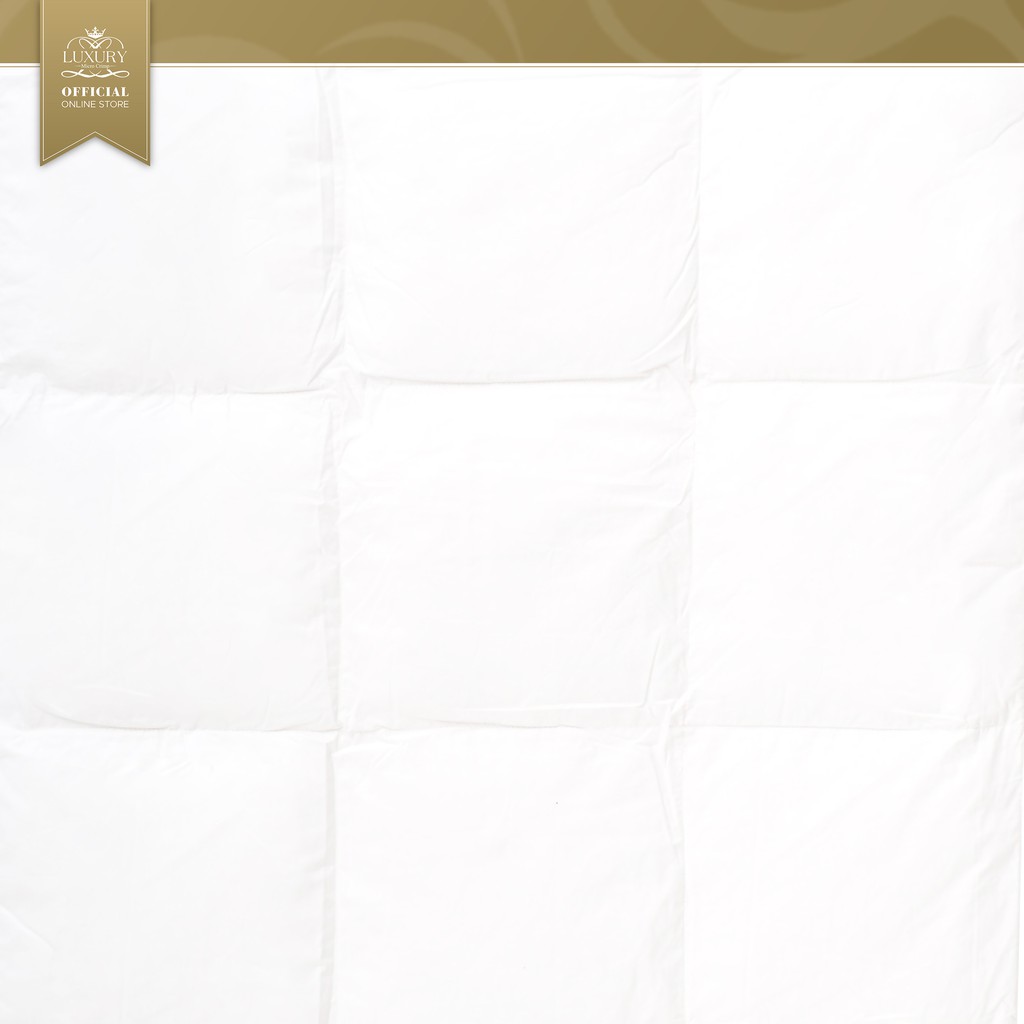ARTHUR DUVET (ไส้ผ้านวมอาเธอร์) ราคา ถูกที่สุด ดีลบีเคเค แกลเลอรีภาพที่ 7