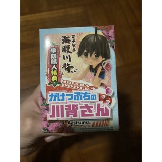 (แท้มือ1) Sayonara Umihara Kawase Gakeppuchi no Kawase-san