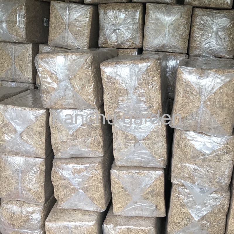 ‼️มาใหม่ สุดคุ้ม‼️ ✅แพ็คใหญ่✅ สแฟกนั่มมอสชิลี7a/5a, 7a/5a Sphagnum Moss Chile, 7a/5a智利水苔 (น้ำหนักอยู