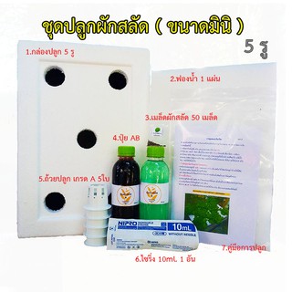 ชุดปลูกผักสลัดไฮโดรโปนิกส์  ขนาด มินิ ( ขนาด  25.3X37.0X21.2cm )