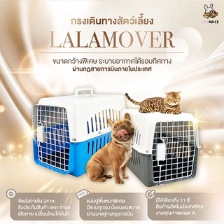 LittleTree กล่องเดินทางสัตว์เลี้ยง ไซส์ L 40x60x40 ซม. กรงเดินทางแมว สุนัขเล็ก พลาสติก PP แถมแผ่นปูพื้น