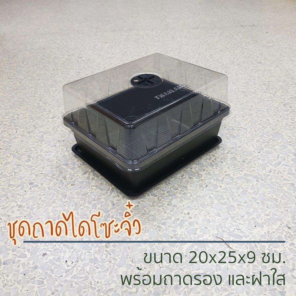 ถาดเพาะต้นอ่อน ถาดไดโซะ ถาดเพาะแคคตัส ไดโซะจิ๋ว ไดโซะกลาง พร้อมฝาครอบ ถาดเพาะกล้า  ถาดบ่มเมล็ด
