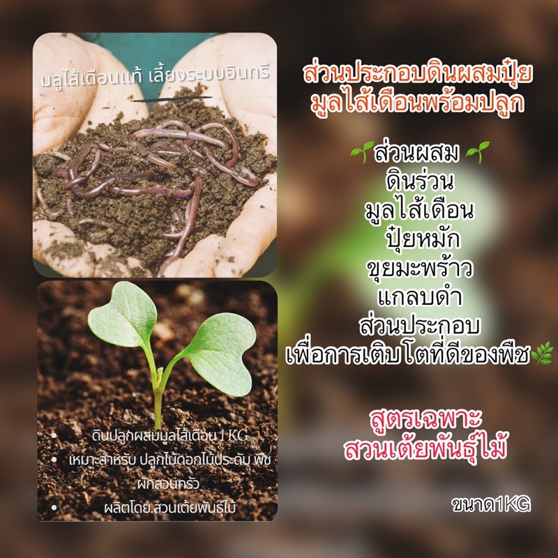 ดินปลูกผสมมูลไส้เดือน 1 KG. ดินปลูกต้นไม้สำเร็จรูปดินดีช่วยทำให้ต้นไม้เจริญเติบโต#สูตรสวนเต้ยพันธุ์ไม้รับประกันคุณภาพ
