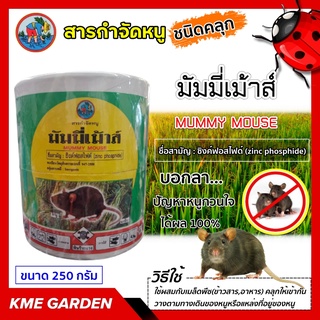 🐭 เหยื่อกำจัดหนู 🐭 มัมมี่เม้าส์ สารกำจัดหนู ซิงค์ฟอสไฟด์ (Zinc phosphide) ขนาด 250 กรัม อาท ใช้ผสมกับอาหารหรือเมล็ดพืช