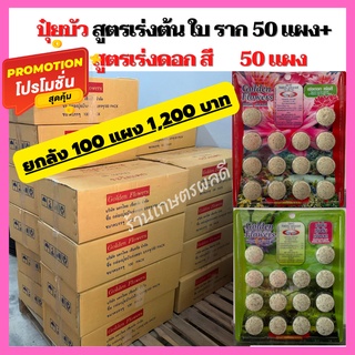 ปุ๋ยบัว ปุ๋ยไม้น้ำGolden Flowers  ช่องาม ยกลังรวม 2 สูตร 100 แผงสูตรเร่งต้น 50แผง+สูตรเร่งดอก 50 แผง ขายส่ง ราคาถูก