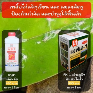 ป้องกัน กำจัด เพลี้ยไก่แจ้ ทุเรียน โปรดอ่านรายละเอียดก่อนสั่งซื้อ