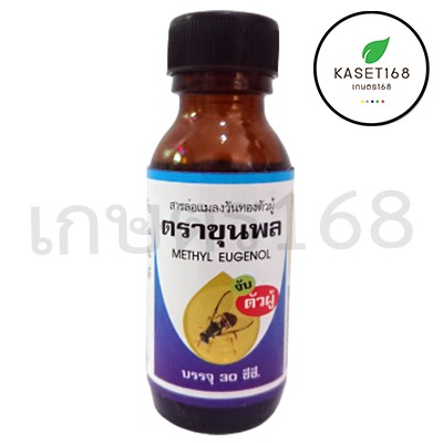สารล่อ​แมลงวันทอง​ เมทิ​ล​ยู​จินอล​