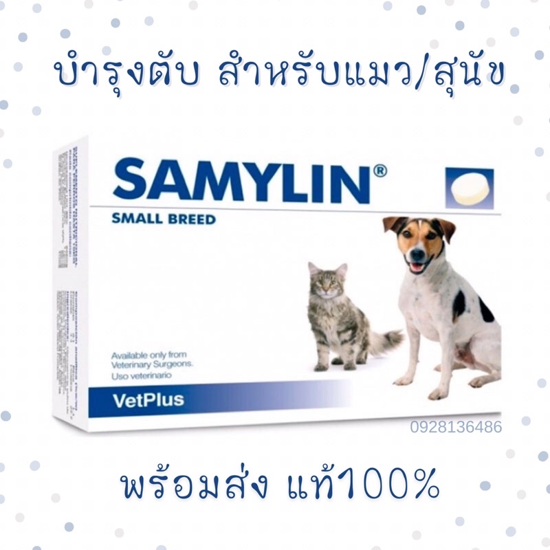 (พร้อมส่ง)Samylin Small Breed บำรุงตับ สำหรับสุนัข/แมว ชนิดเม็ด Exp.03/2025