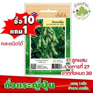 （มีของแจก）เมล็ดพันธุ์ผัก เจียไต๋ ถั่วแระ ญี่ปุ่น ประมาณ 18 เมล็ด เมล็ดพันธุ์ผักสวนครัว เมล็ดพ/เมล็ด ผัก ปลูก สวนครัว คละ