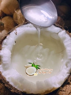 🥥ราคาดีที่สุด มะพร้าวกะทิทับสะแก มะพร้าวกะทิเนื้อฟูนุ่ม ทานอร่อย ส่งตรงจากสวนทับสะแกทุกลูก
