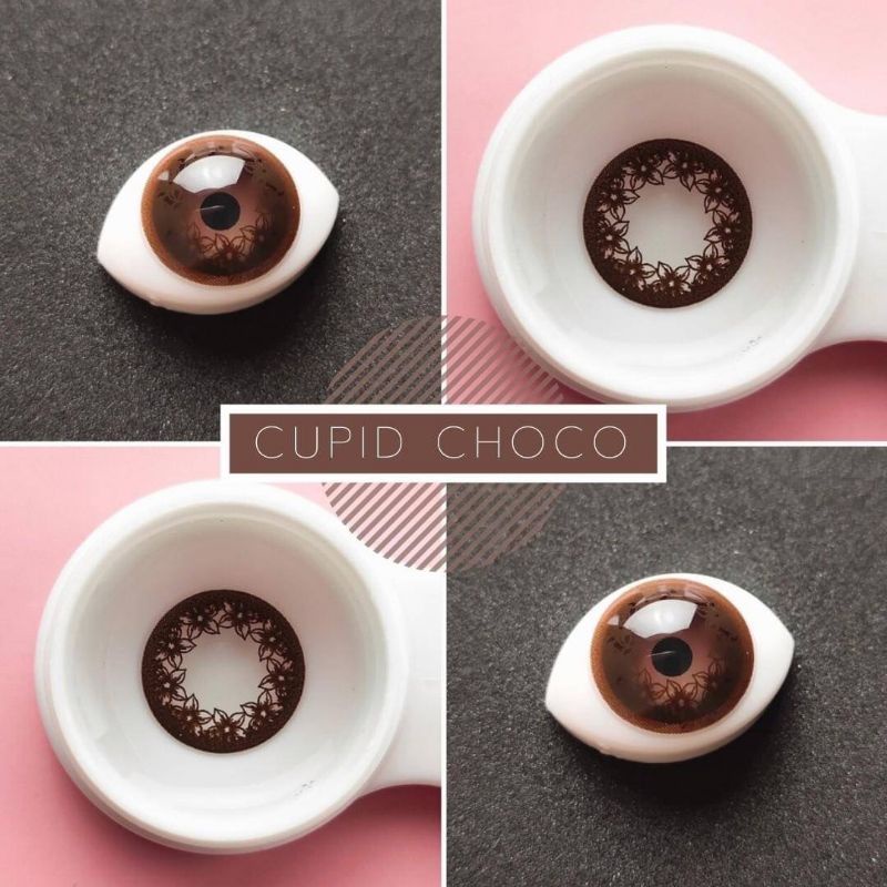 💜 CUPID Choco Brown บิ๊กอาย สีช็อคโก้ สีน้ำตาล แบ๊ว ตาโต Dream Color1 Contact Lens Bigeyes คอนแทคเลนส์