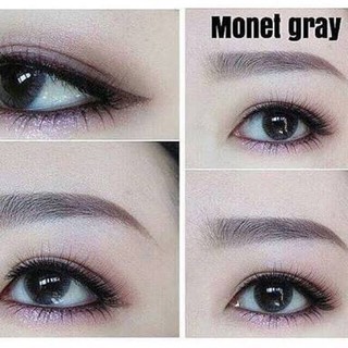 Monet Gray TATOTO Contact Lenses คอนแทคเลนส์ #17