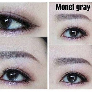 Monet Gray TATOTO Contact Lenses คอนแทคเลนส์ #17