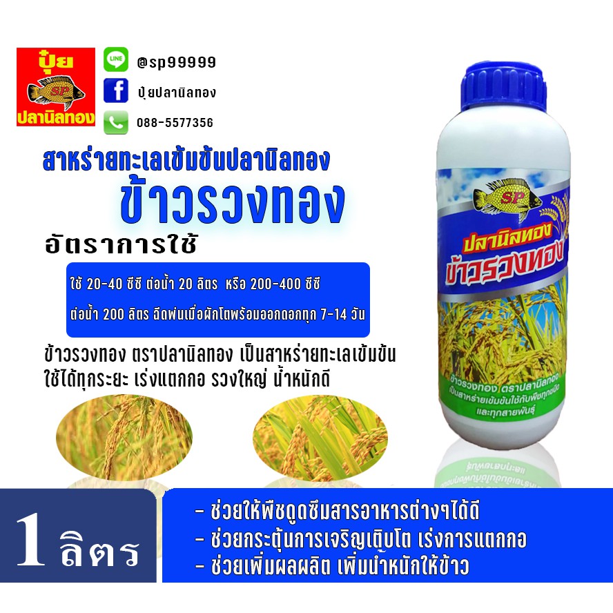 My Image 15