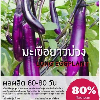 เมล็ดพันธุ์ มะเขือยาวม่วง Eggplant มะเขือยาว มะเขือม่วง มะเขือ (ซื้อ 10 แถม 1 คละอย่างได้)