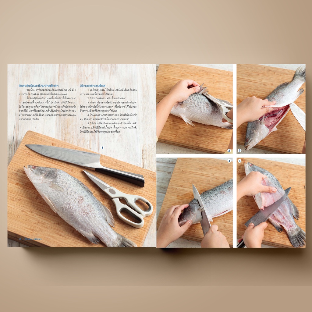 SANGDAD Modern สเต๊กปลา | หนังสือตำราอาหารรวมสารพัดเมนูปลา อร่อย ทำง่าย ได้ประโยชน์