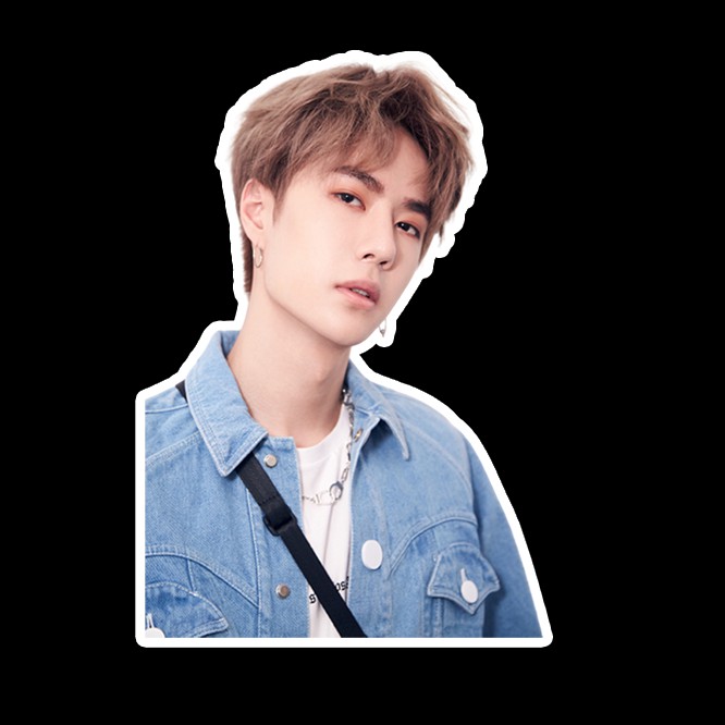 สติ๊กเกอร์ สติ๊กเกอร์ไดคัท สติ๊กเกอร์กันน้ำ สติ๊กเกอร์ติดรถ สติ๊กเกอร์ดารา หวังอี้ป๋อ Wang Yibo