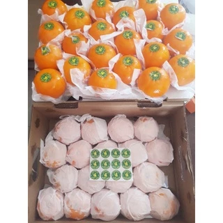 ส้มนกแก้ว🍊🍊🍊ฤดูกาลใหม่ SIZE M,L,XL = 1 Kg ราคาดี. เกรดพรีเมี่ยม